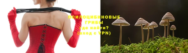 mdpv Беломорск