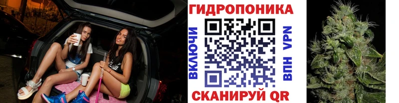 где можно купить наркотик  Пионерский  Конопля Bruce Banner 